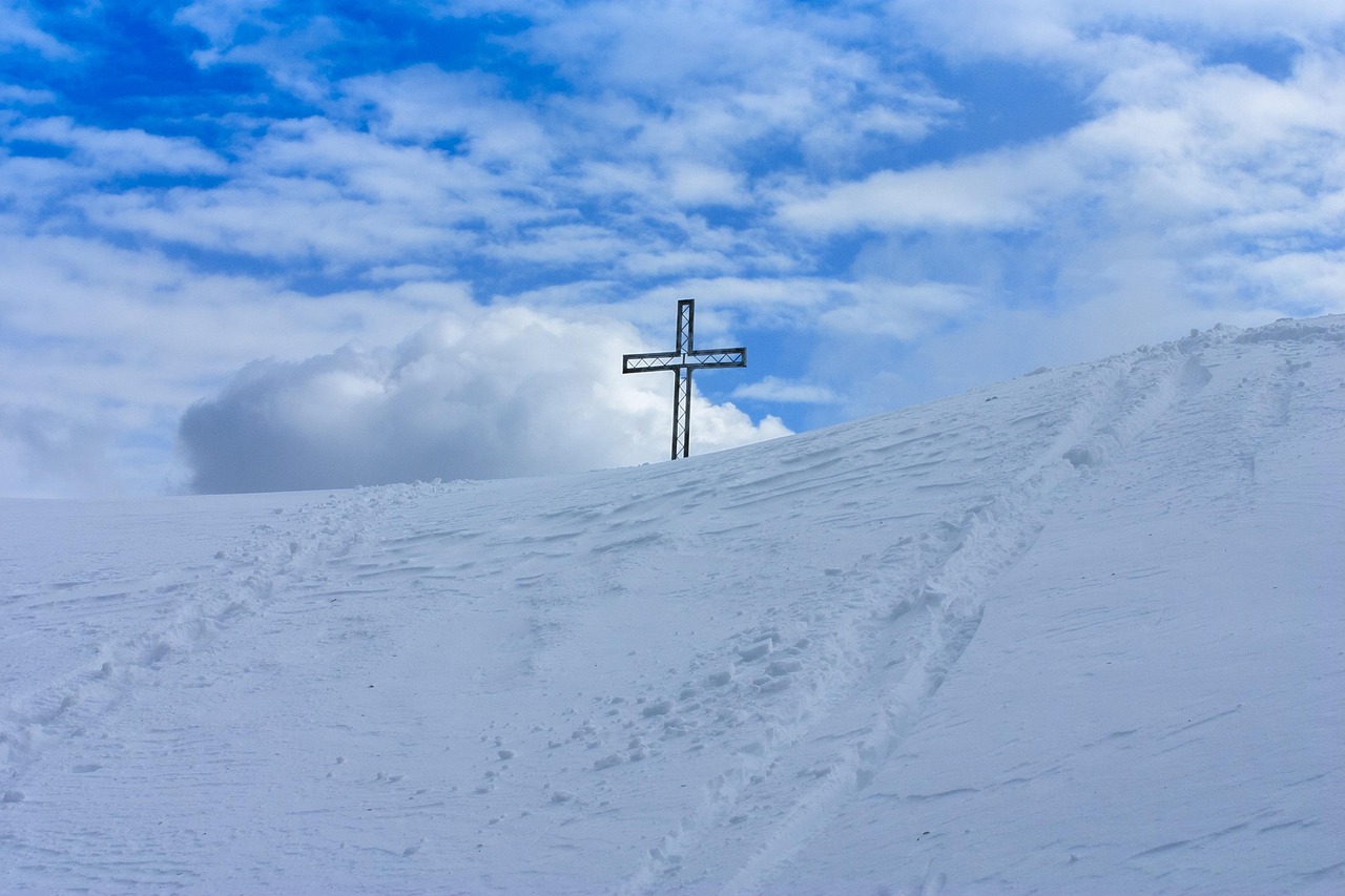 杏彩体育，注册|升降平台车代理