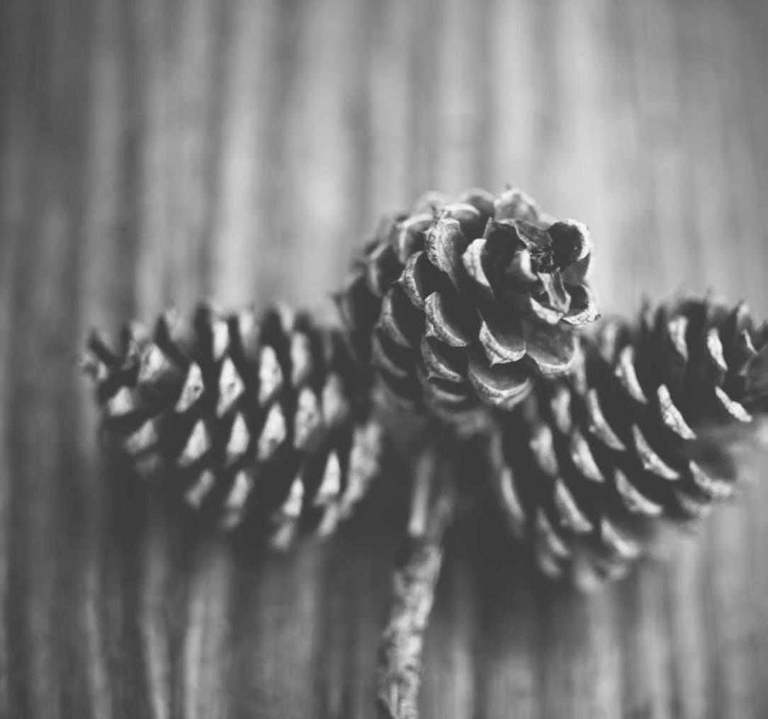 虎牙实名账号：电子游艺平台开户费用