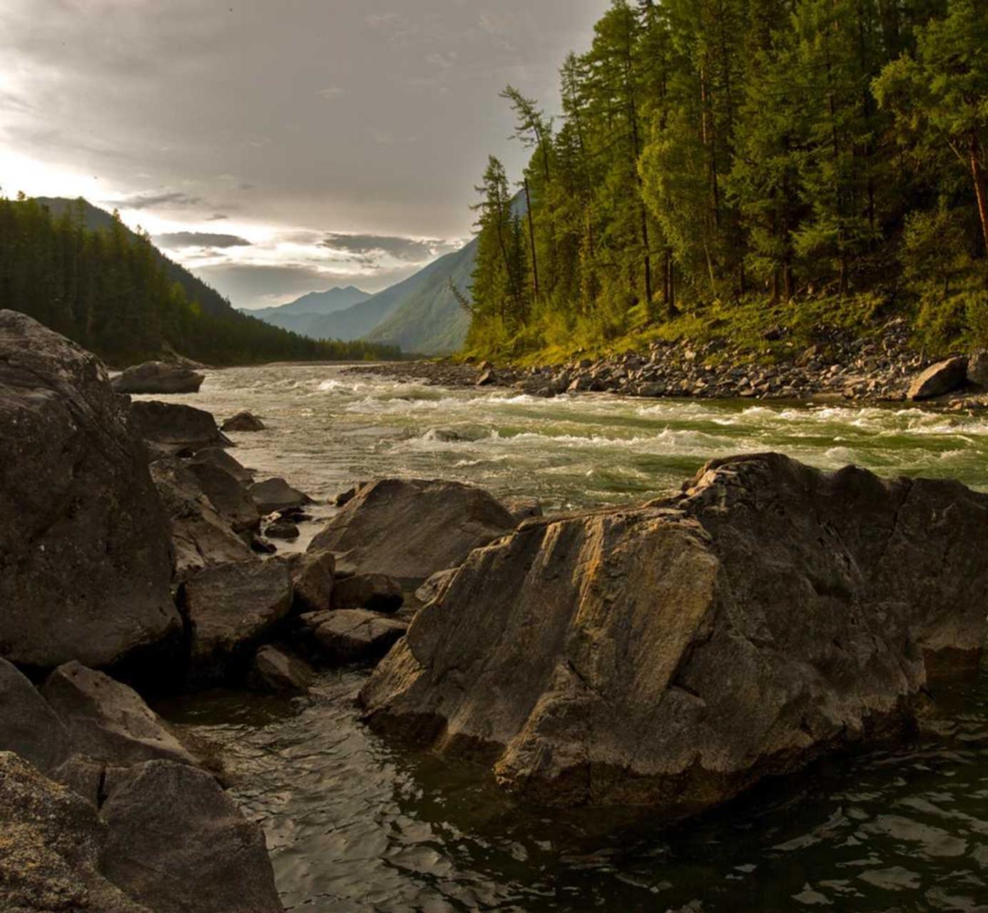 网页在线DDOS压力测试|十堰商标注册代理