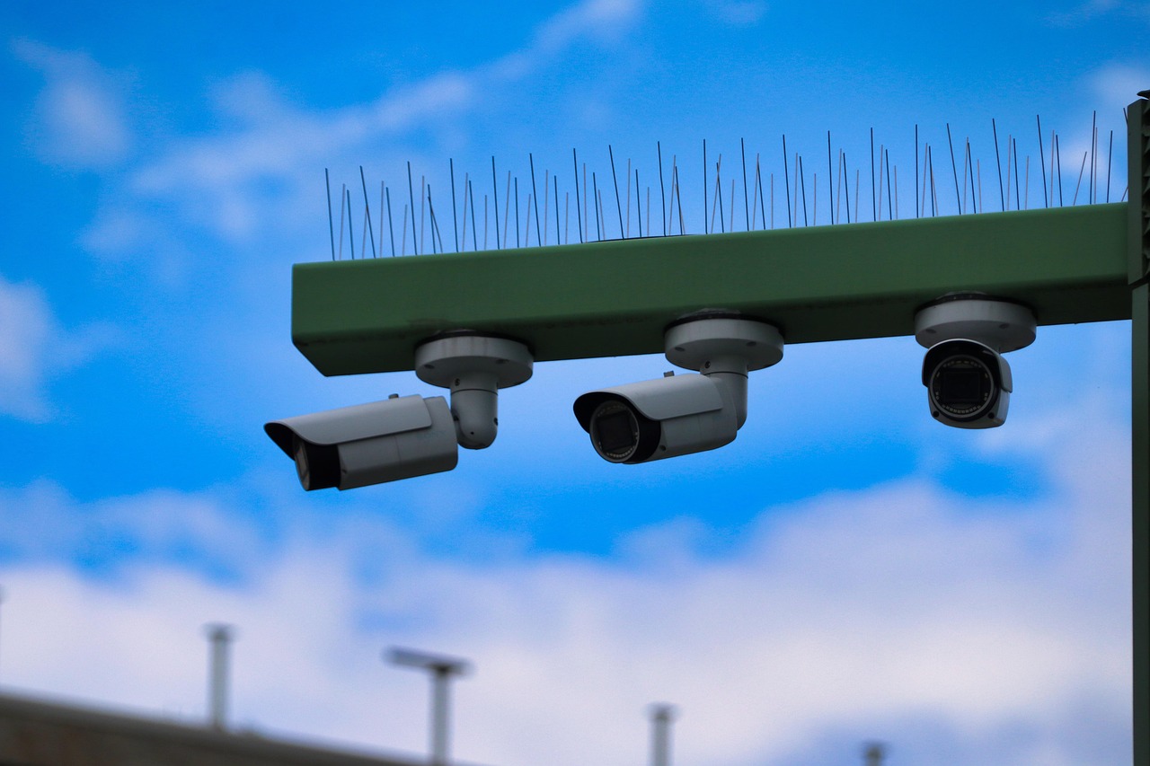 最后纪元辅助- 闲鱼如何注册企业号账号