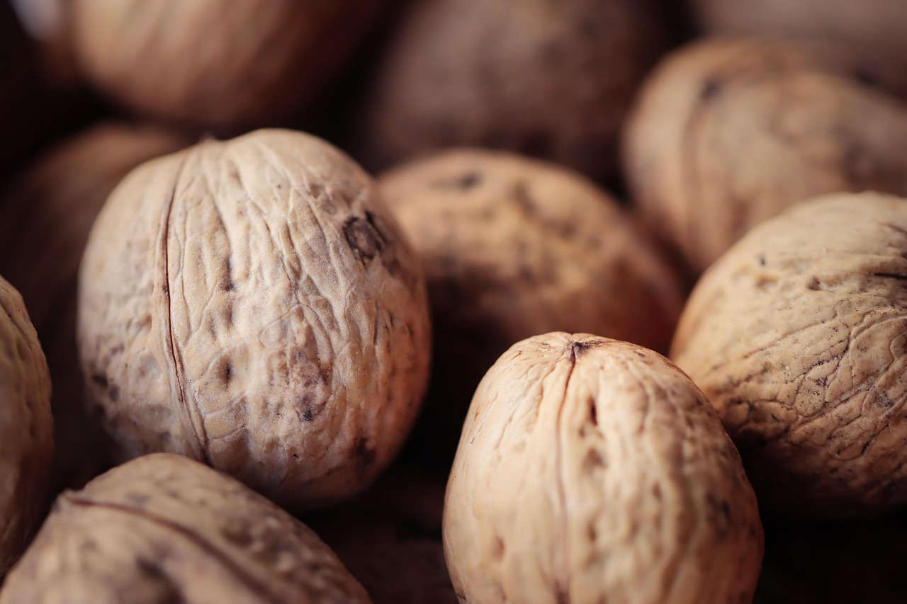 炸房器|如何加强你的密码安全